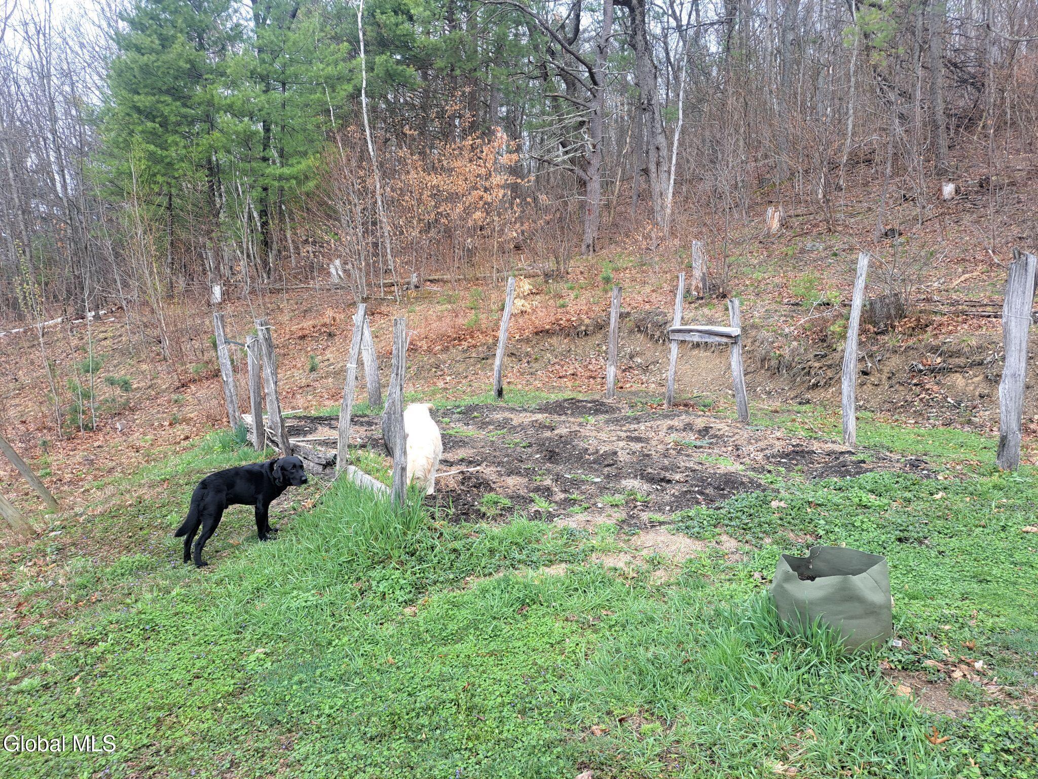 277 Breese Hollow Road Hoosick Falls NY 12090