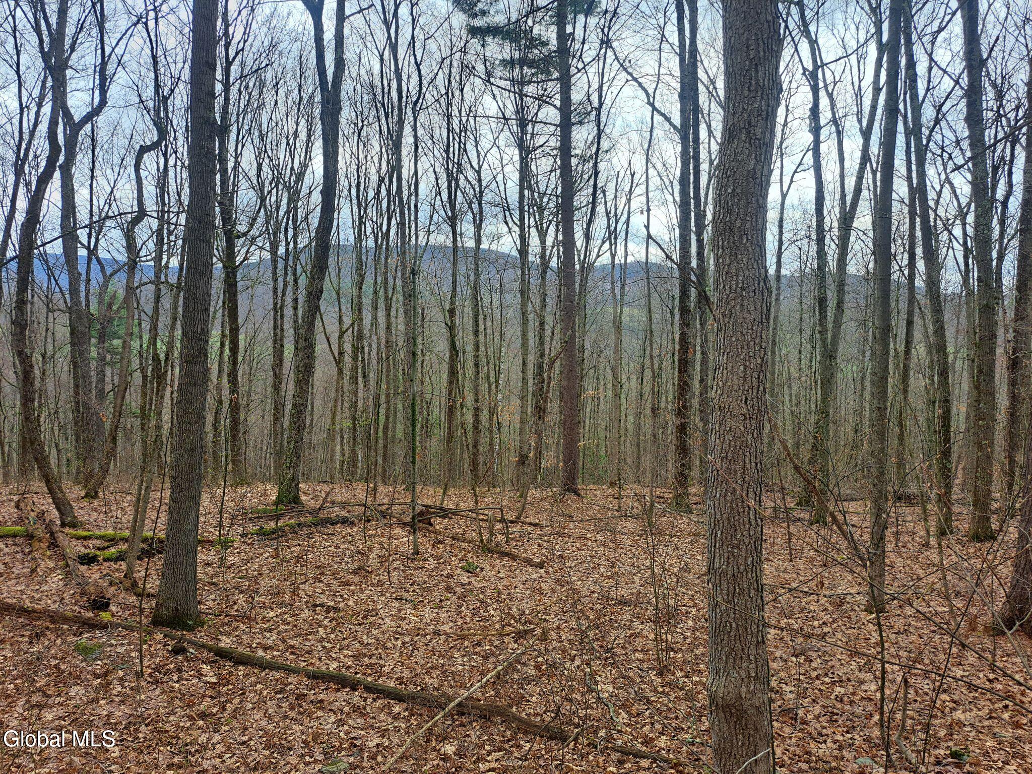 277 Breese Hollow Road Hoosick Falls NY 12090