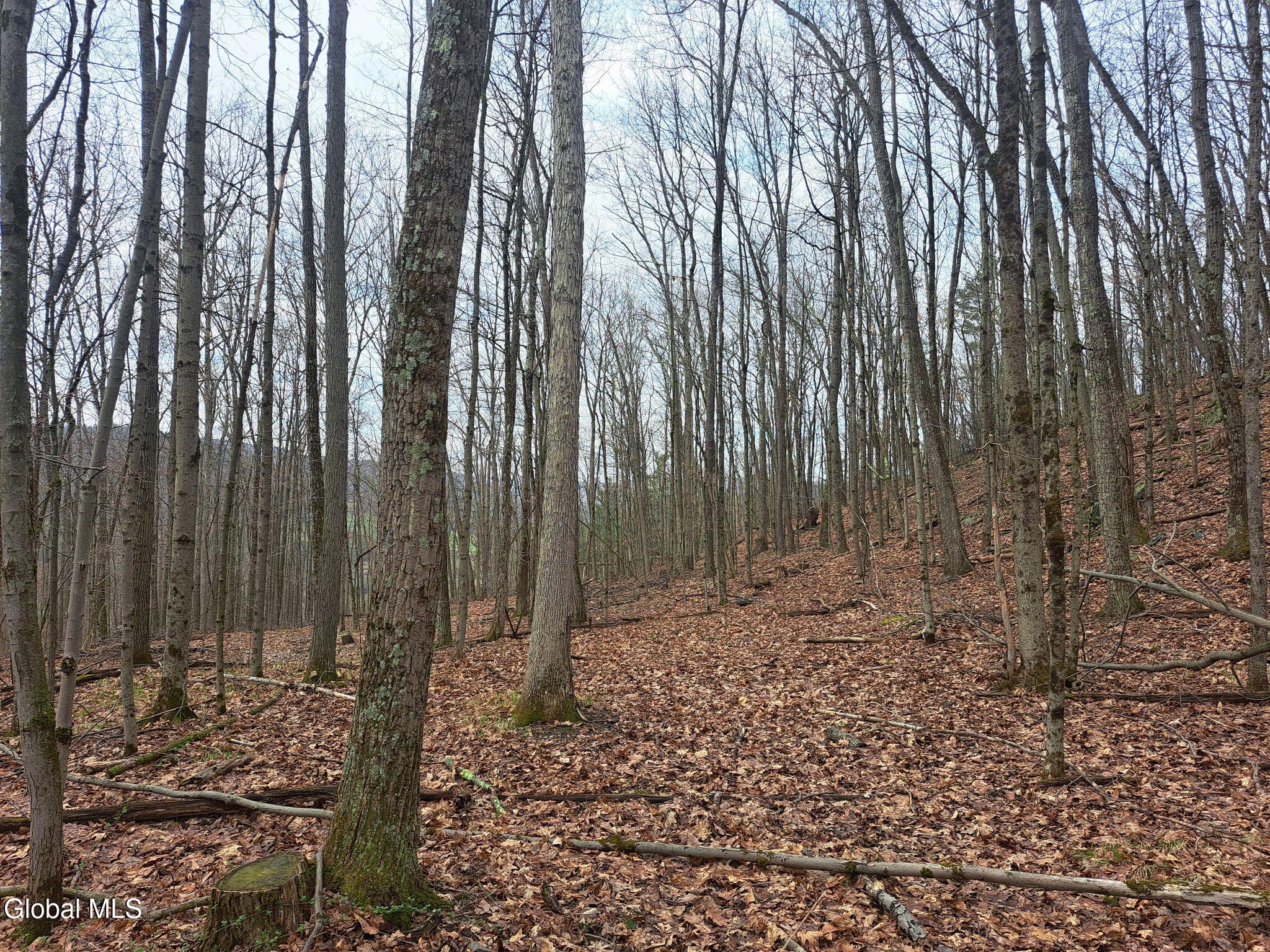 277 Breese Hollow Road Hoosick Falls NY 12090