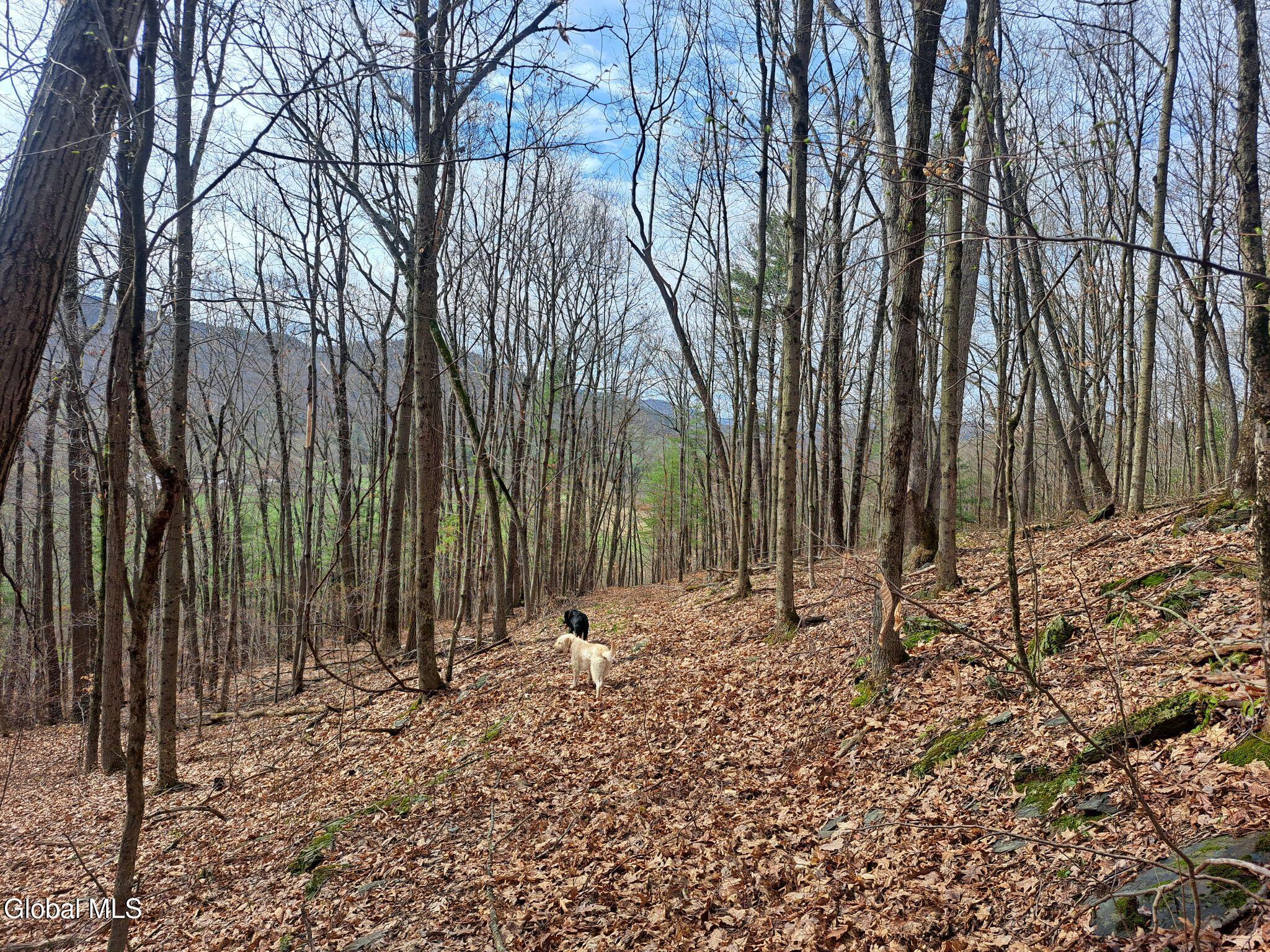 277 Breese Hollow Road Hoosick Falls NY 12090