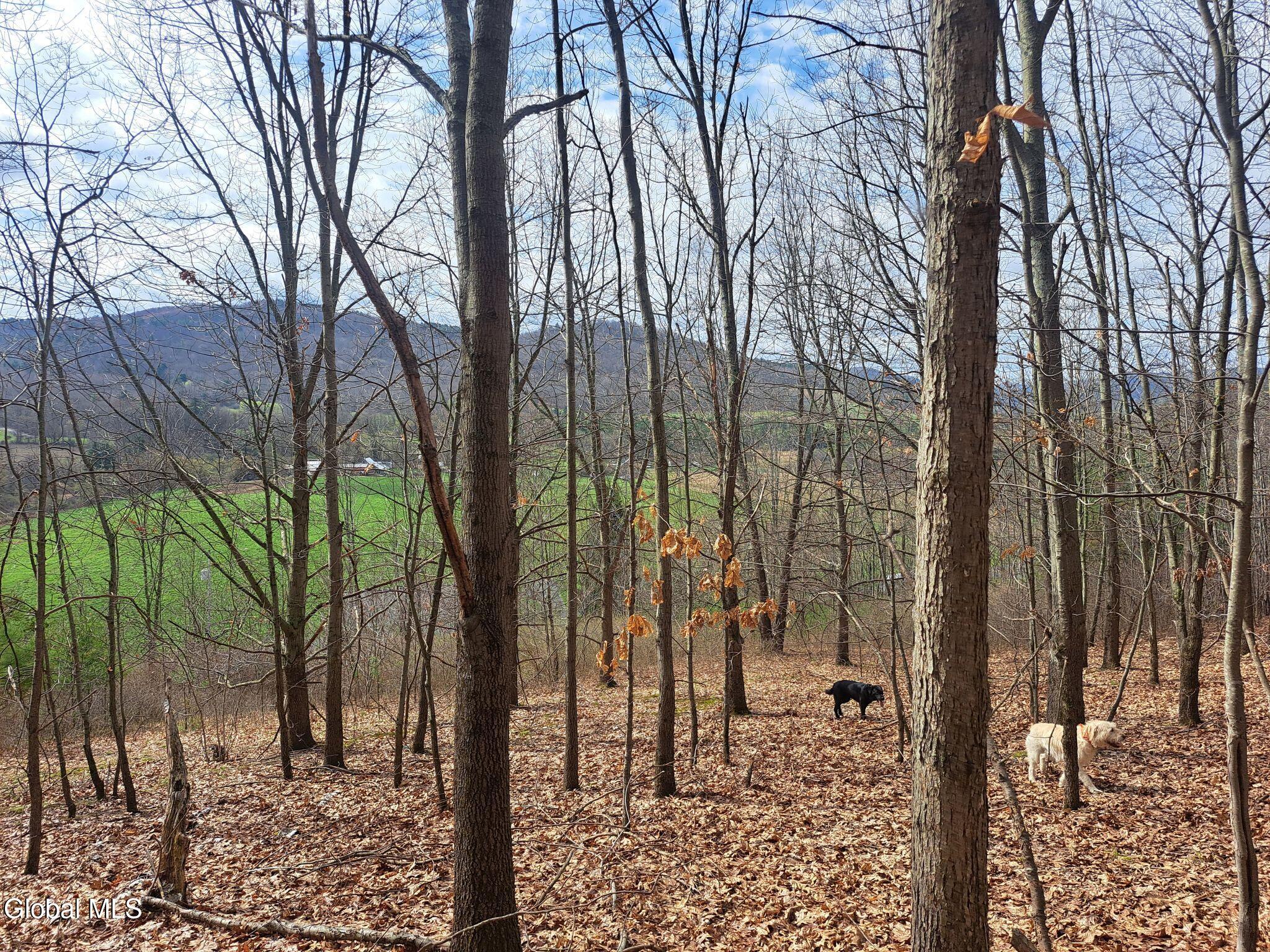 277 Breese Hollow Road Hoosick Falls NY 12090