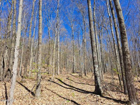 277 Breese Hollow Road Hoosick Falls NY 12090