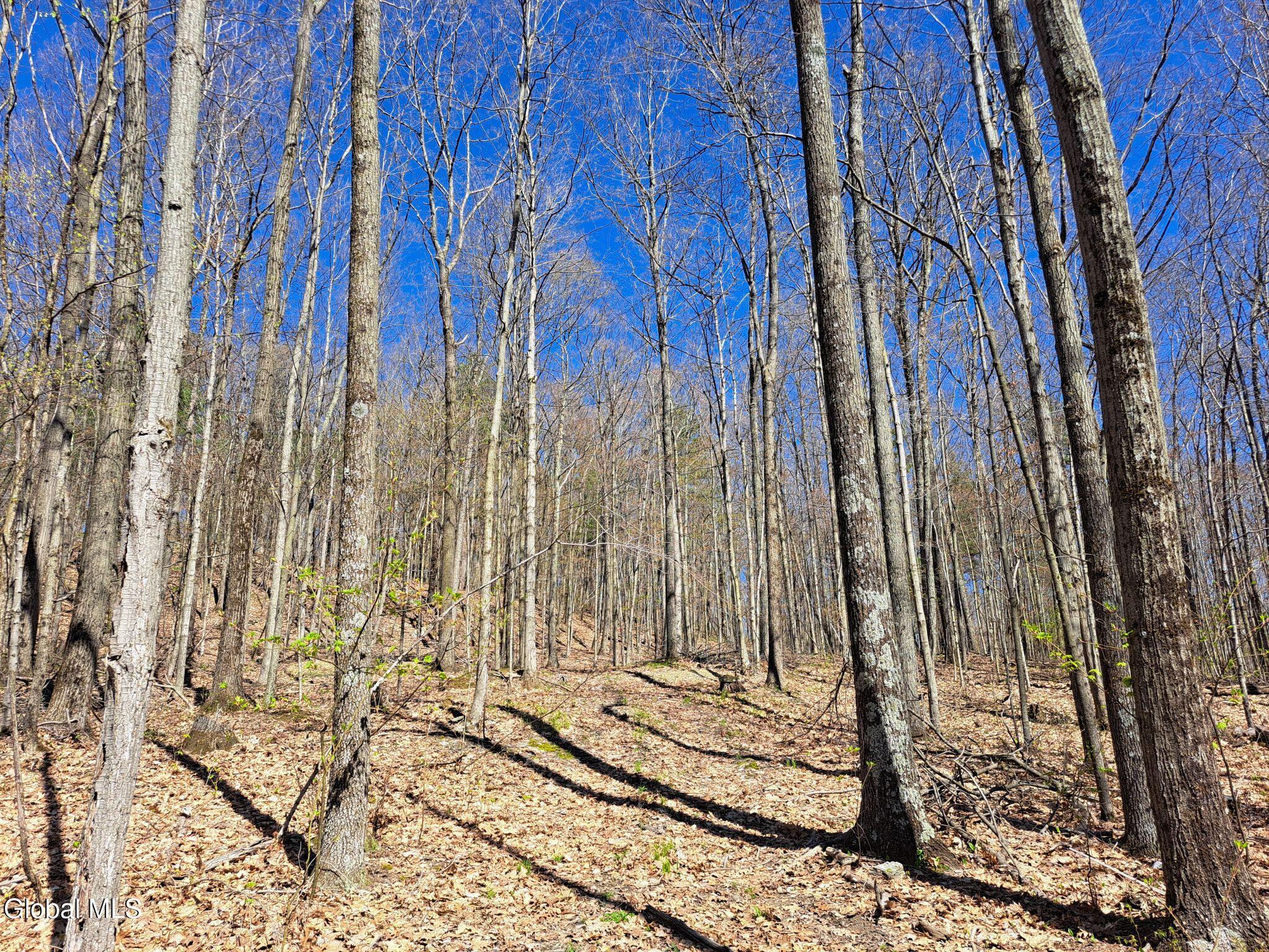 277 Breese Hollow Road Hoosick Falls NY 12090
