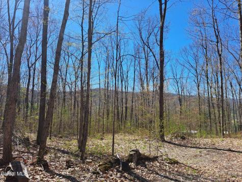 277 Breese Hollow Road Hoosick Falls NY 12090