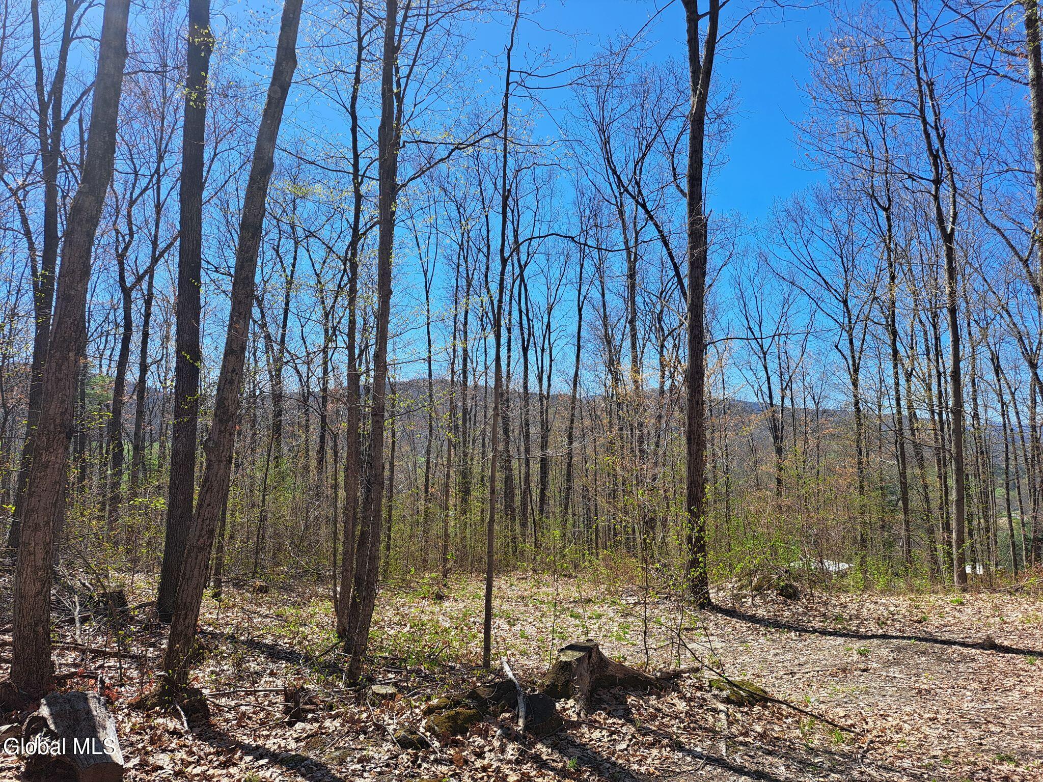 277 Breese Hollow Road Hoosick Falls NY 12090