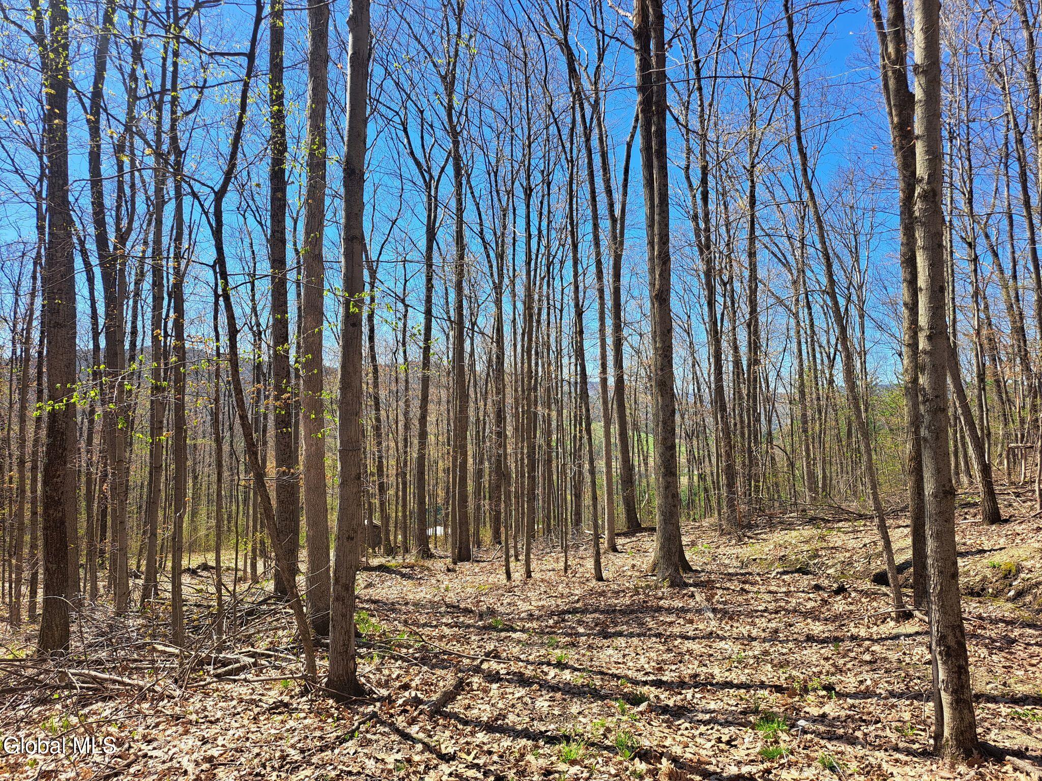 277 Breese Hollow Road Hoosick Falls NY 12090
