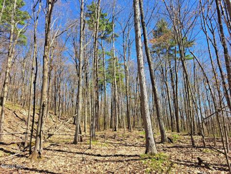 277 Breese Hollow Road Hoosick Falls NY 12090