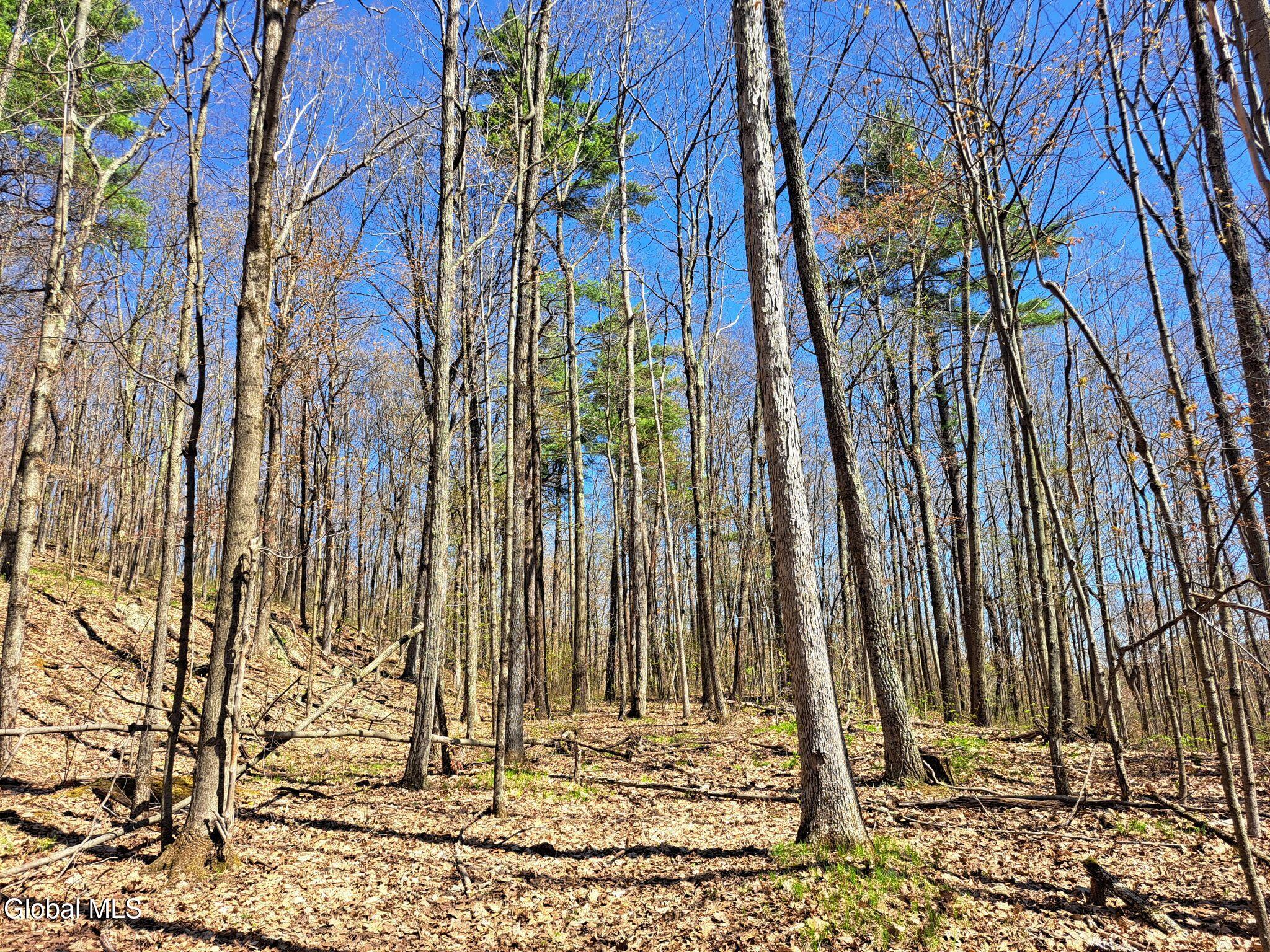 277 Breese Hollow Road Hoosick Falls NY 12090