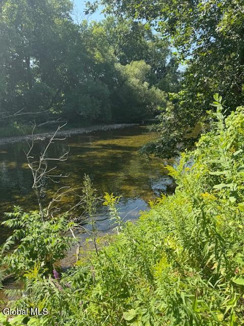 262 Binninger Road Shushan NY 12873