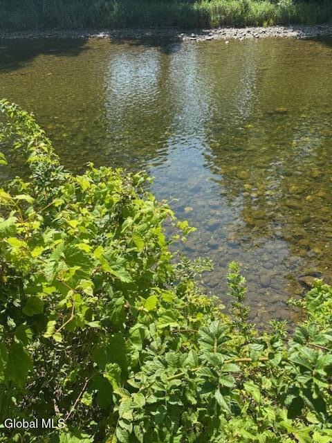 262 Binninger Road Shushan NY 12873