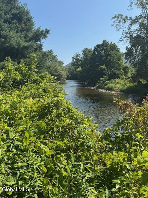 262 Binninger Road Shushan NY 12873