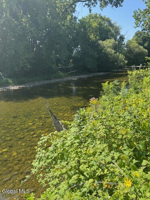262 Binninger Road Shushan NY 12873