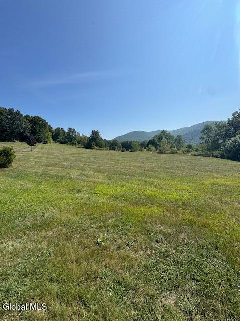 262 Binninger Road Shushan NY 12873