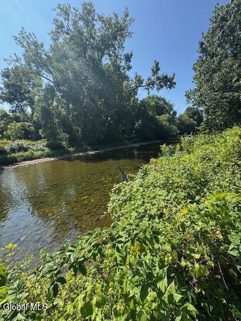 262 Binninger Road Shushan NY 12873
