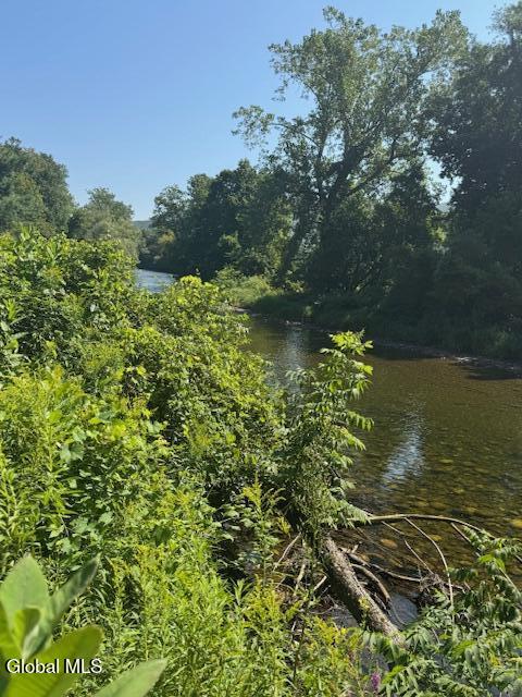 262 Binninger Road Shushan NY 12873