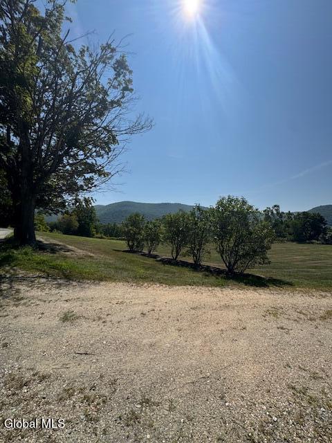 262 Binninger Road Shushan NY 12873