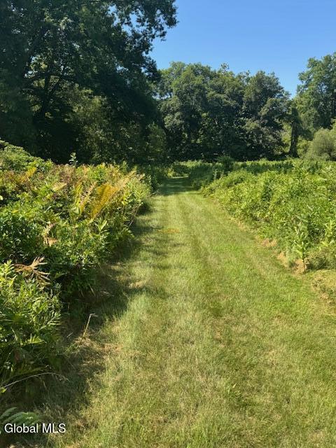 262 Binninger Road Shushan NY 12873