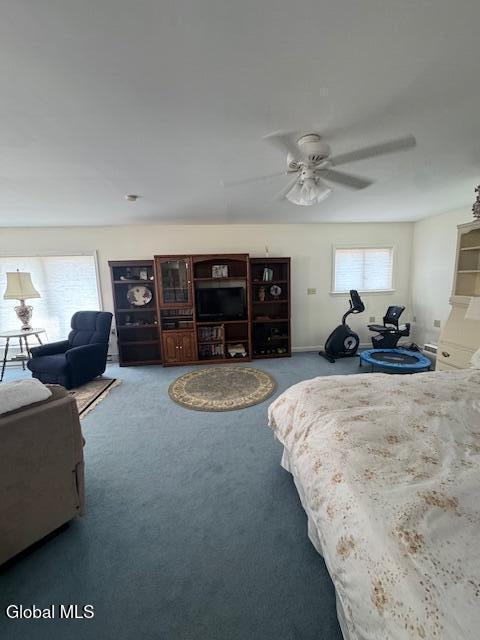262 Binninger Road Shushan NY 12873
