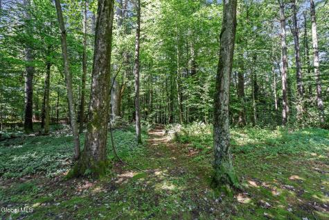 34 Evergreen Drive Gansevoort NY 12831