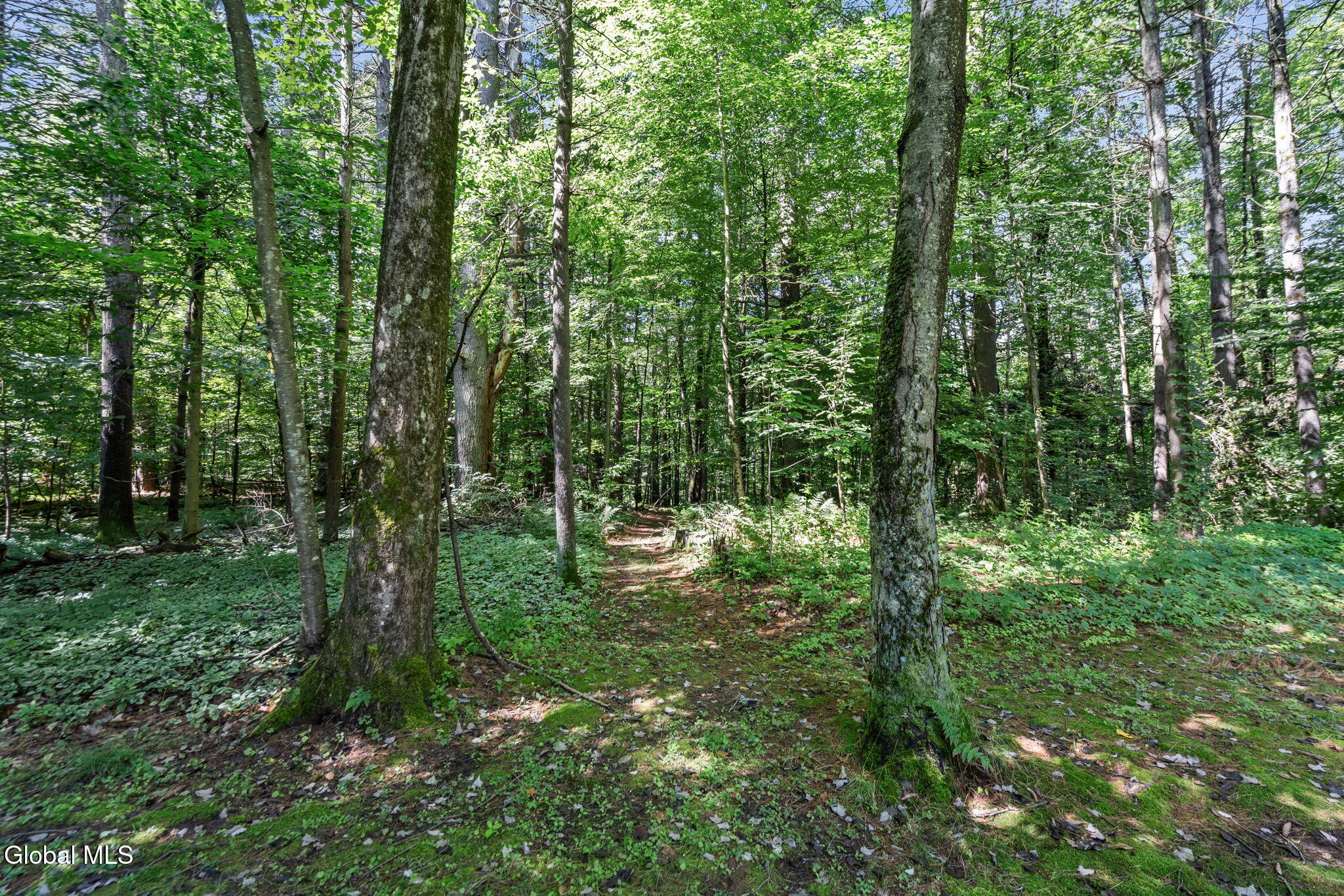 34 Evergreen Drive Gansevoort NY 12831