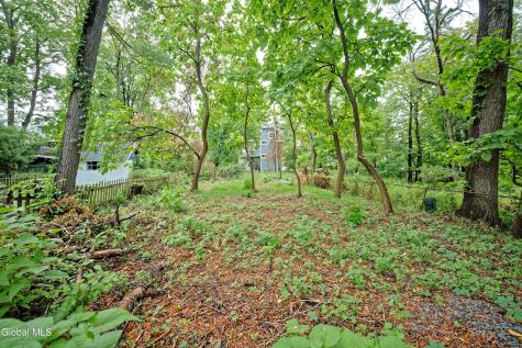 29 S Pine Avenue Albany NY 12208