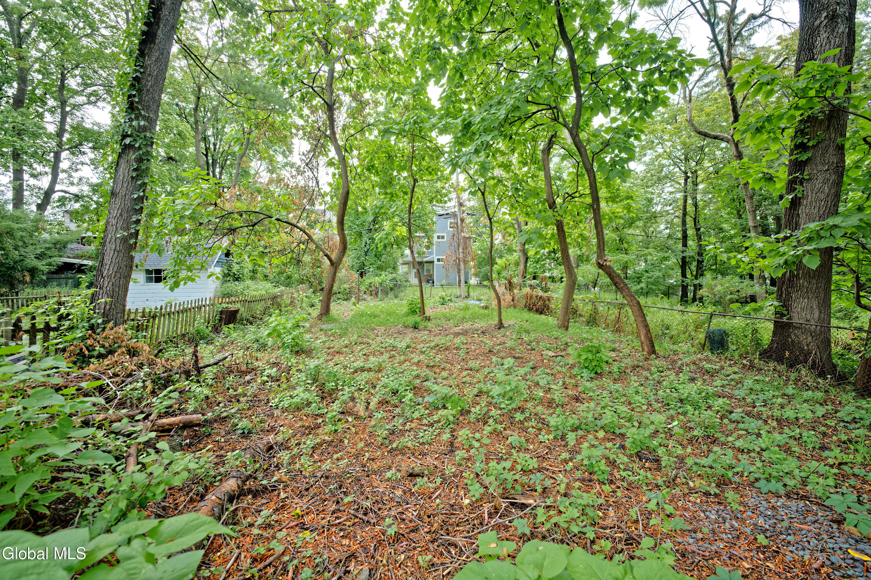29 S Pine Avenue Albany NY 12208
