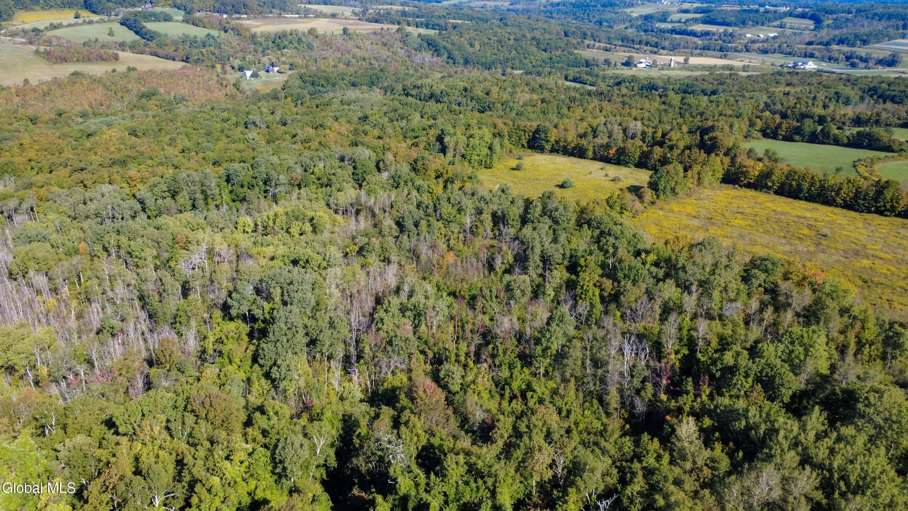343 County Route 32 Cherry Valley NY 13320