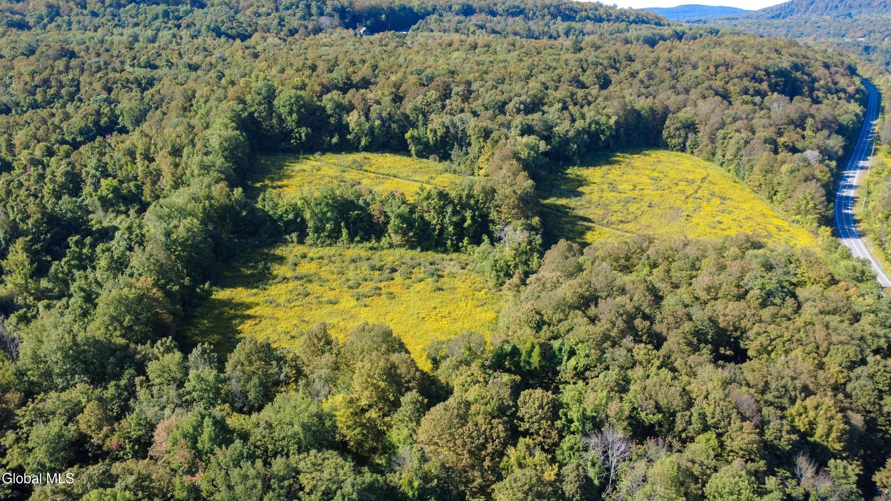 343 County Route 32 Cherry Valley NY 13320