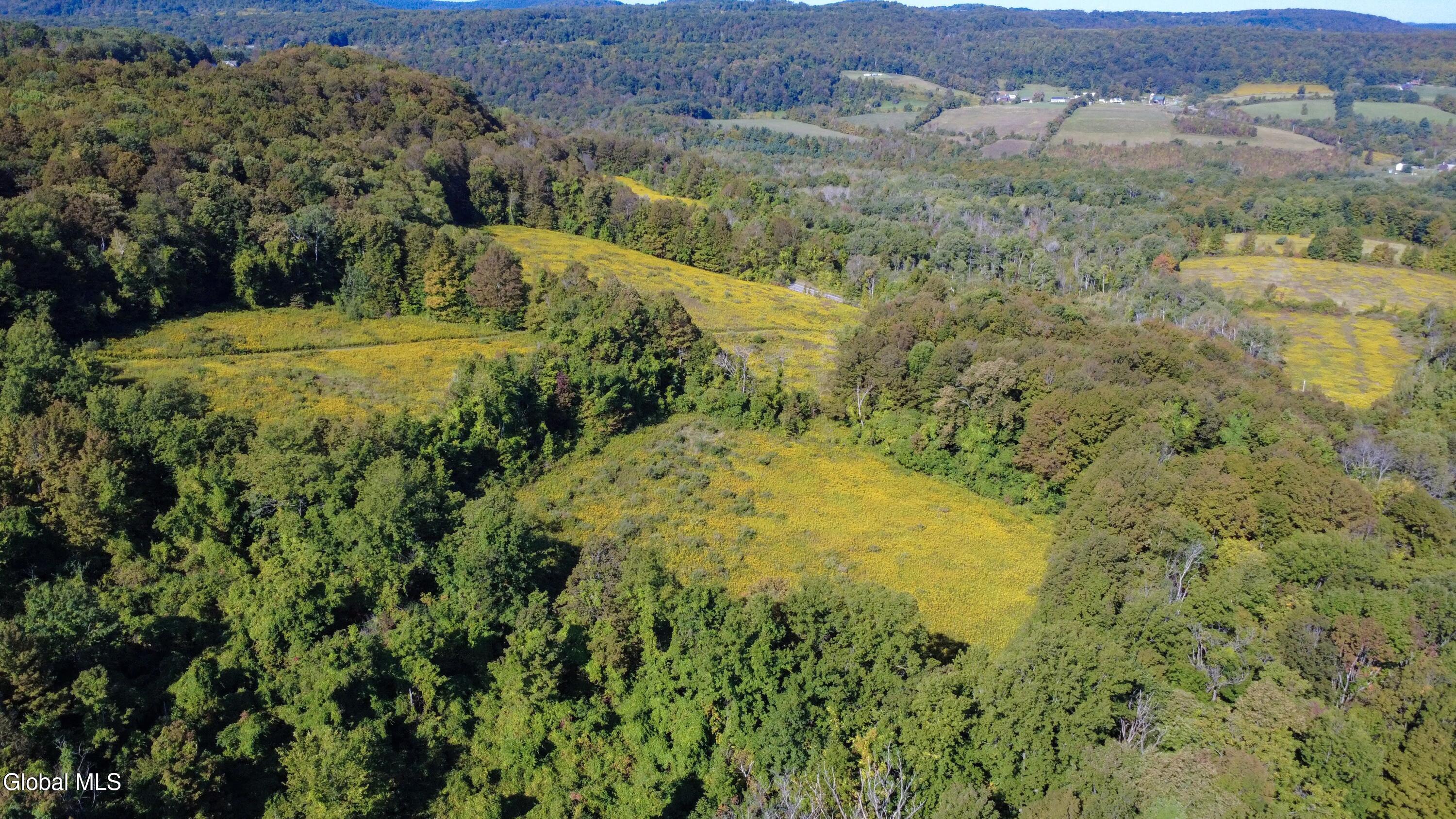 343 County Route 32 Cherry Valley NY 13320