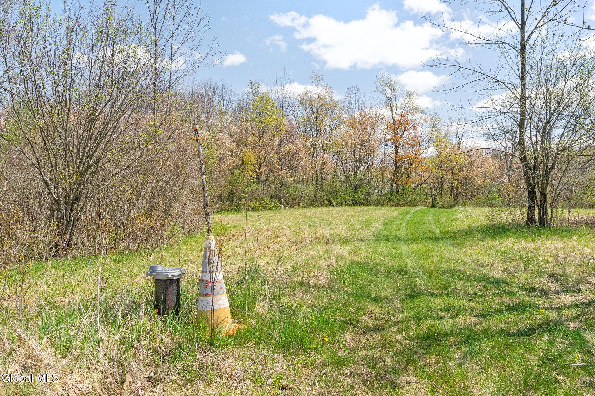 L 8.201 Salsburg Road Delanson NY 12053