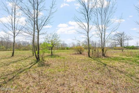 L 8.201 Salsburg Road Delanson NY 12053