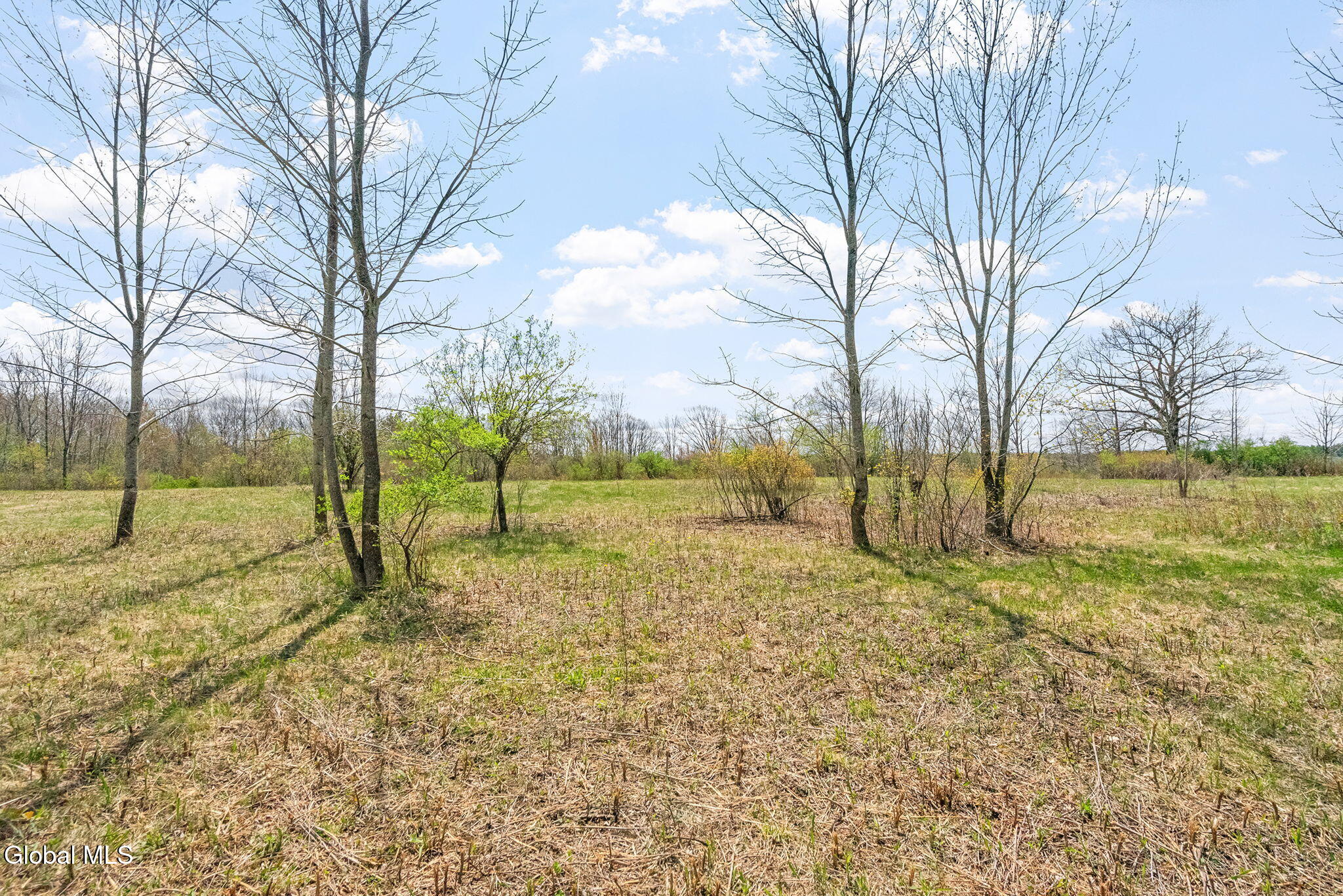 L 8.201 Salsburg Road Delanson NY 12053