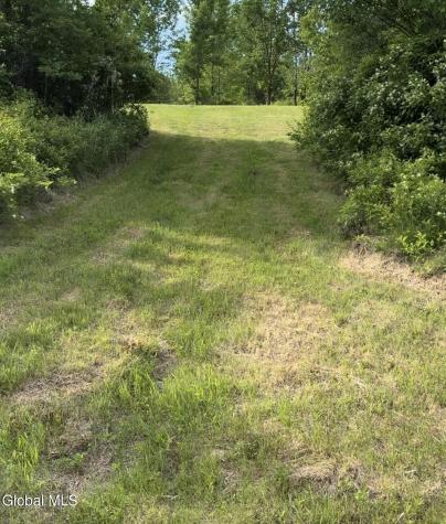 L 8.201 Salsburg Road Delanson NY 12053