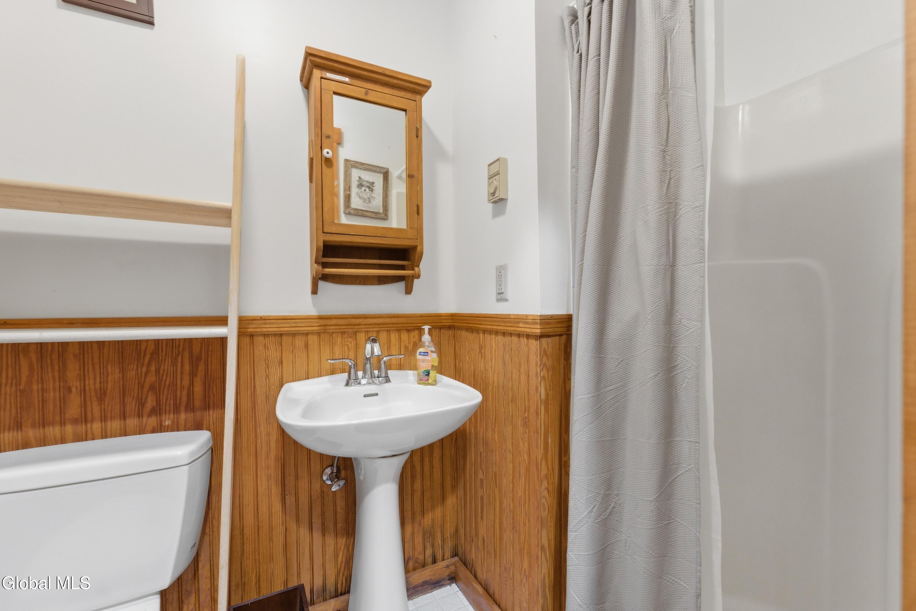 57 Summer Haven Way Schroon Lake NY 12870