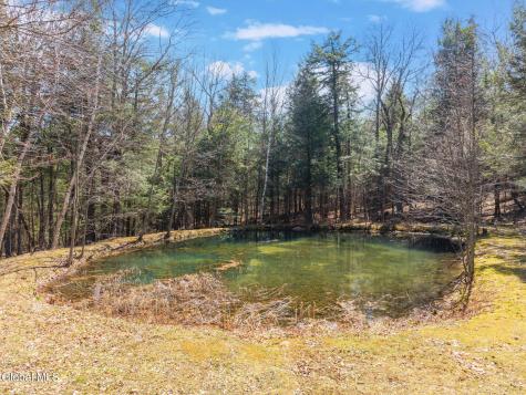 198 Kane Lane Gilboa NY 12167