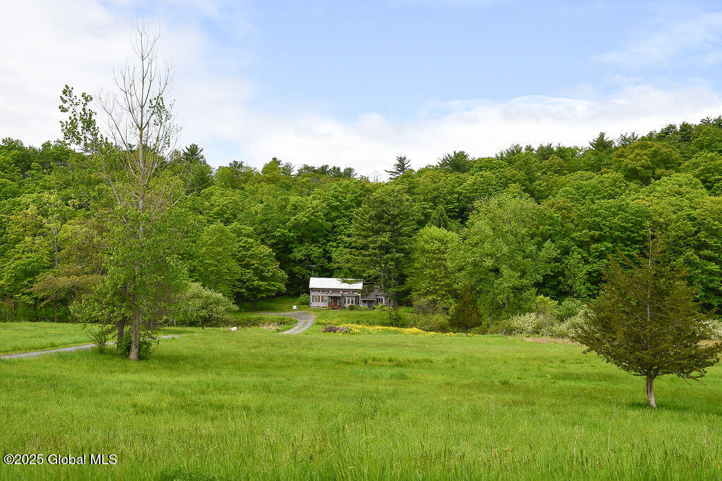185 Stanton Road Coeymans Hollow NY 12046