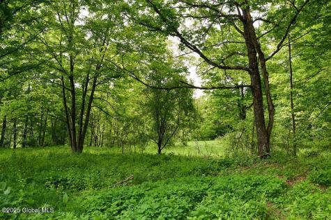 185 Stanton Road Coeymans Hollow NY 12046