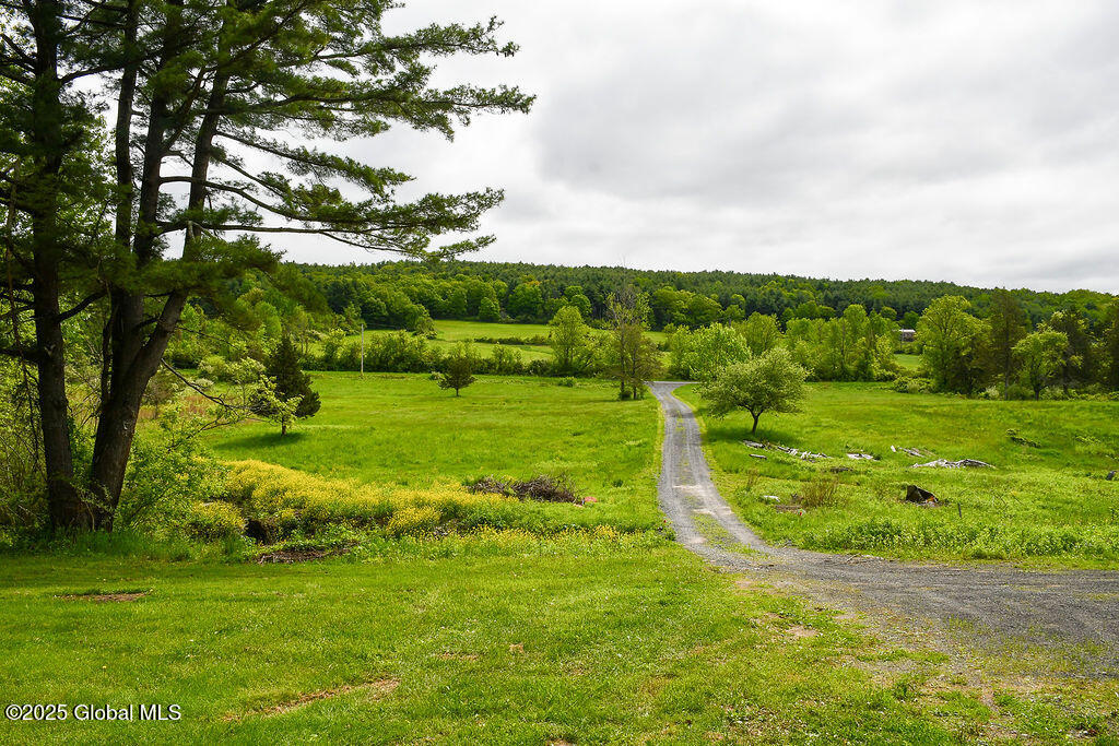 185 Stanton Road Coeymans Hollow NY 12046