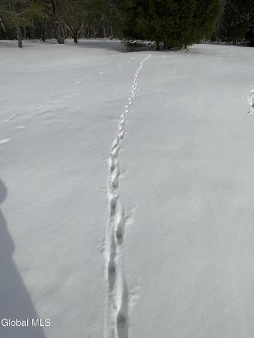 382 Old Road Cropseyville NY 12052