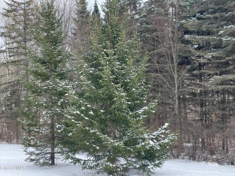 382 Old Road Cropseyville NY 12052