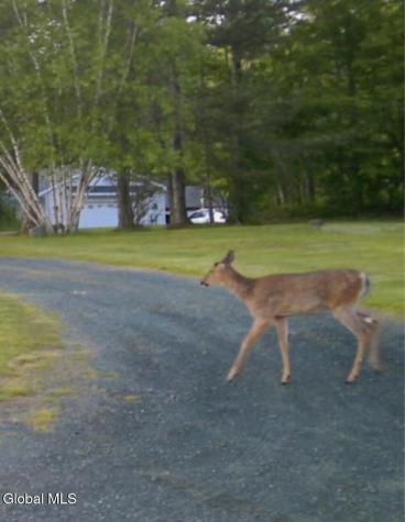 382 Old Road Cropseyville NY 12052