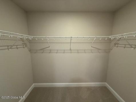 24 Bain Drive Delmar NY 12054