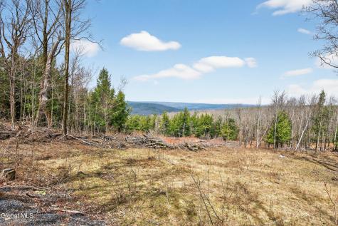 54 High Point Road Berne NY 12023