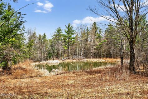 54 High Point Road Berne NY 12023