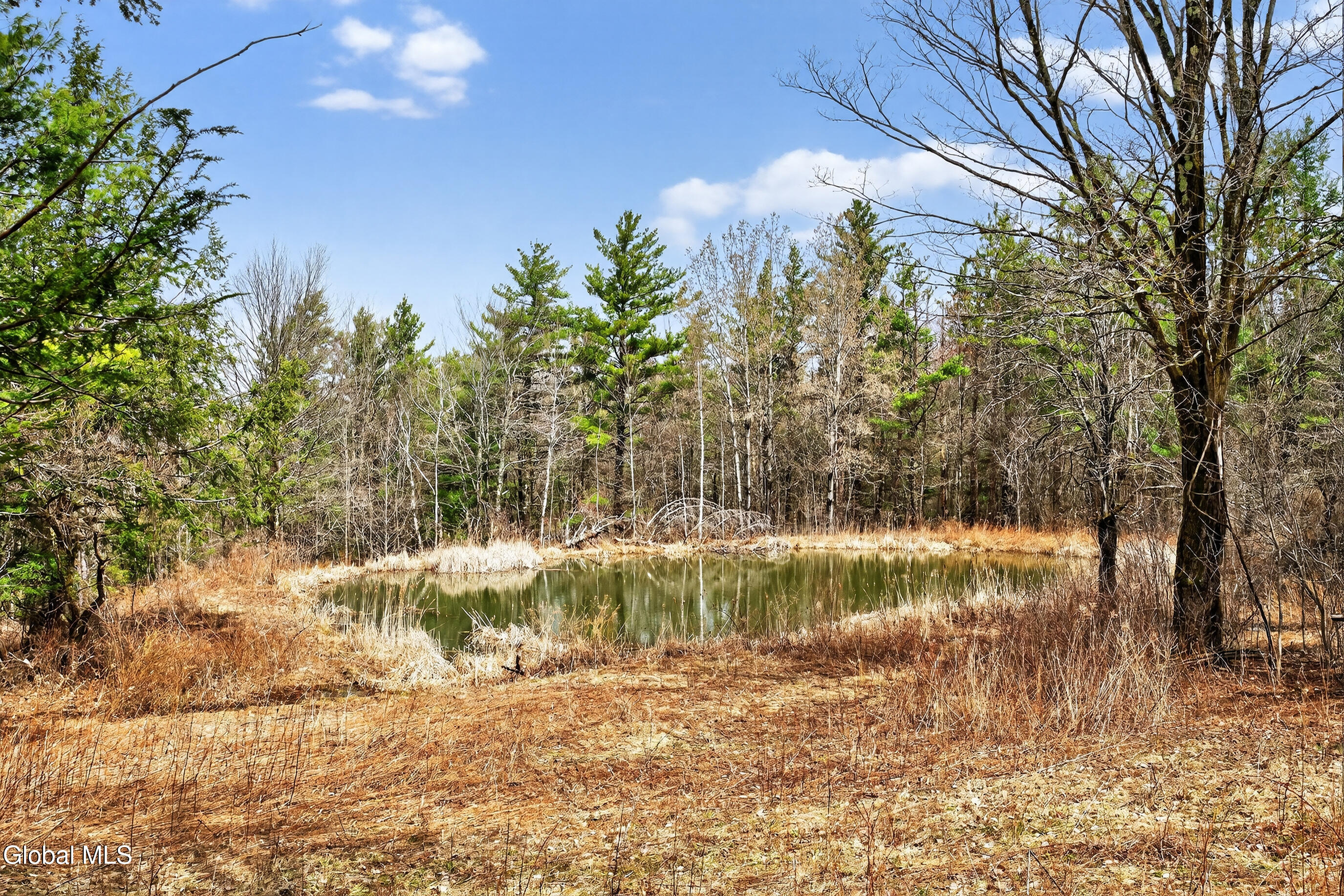 54 High Point Road Berne NY 12023
