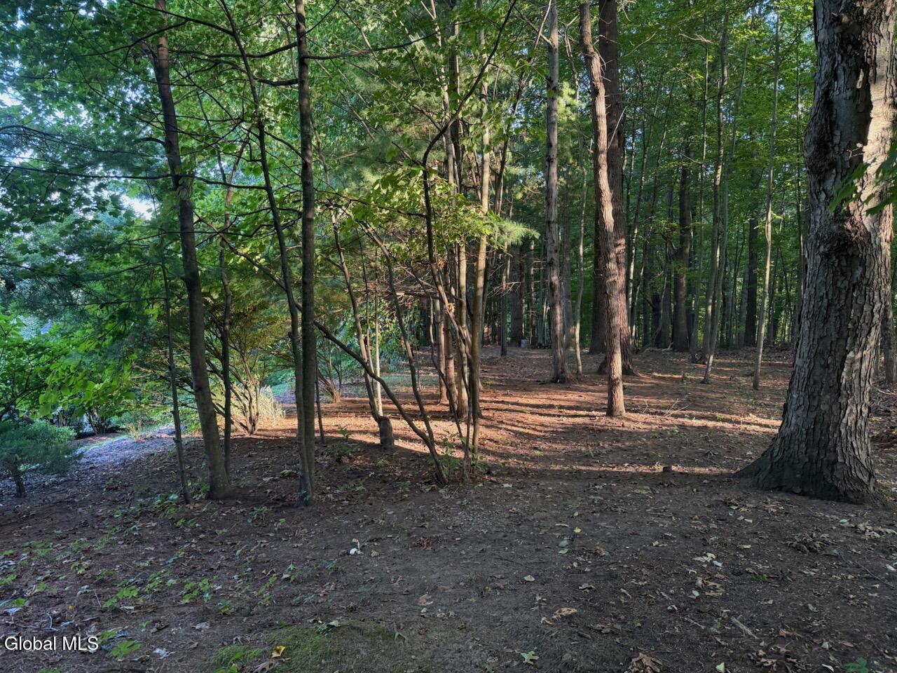 14 Little Drive Malta NY 12020