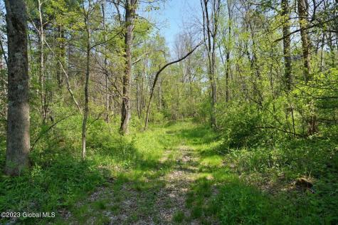 1032 Bogtown Road Salem NY 12865