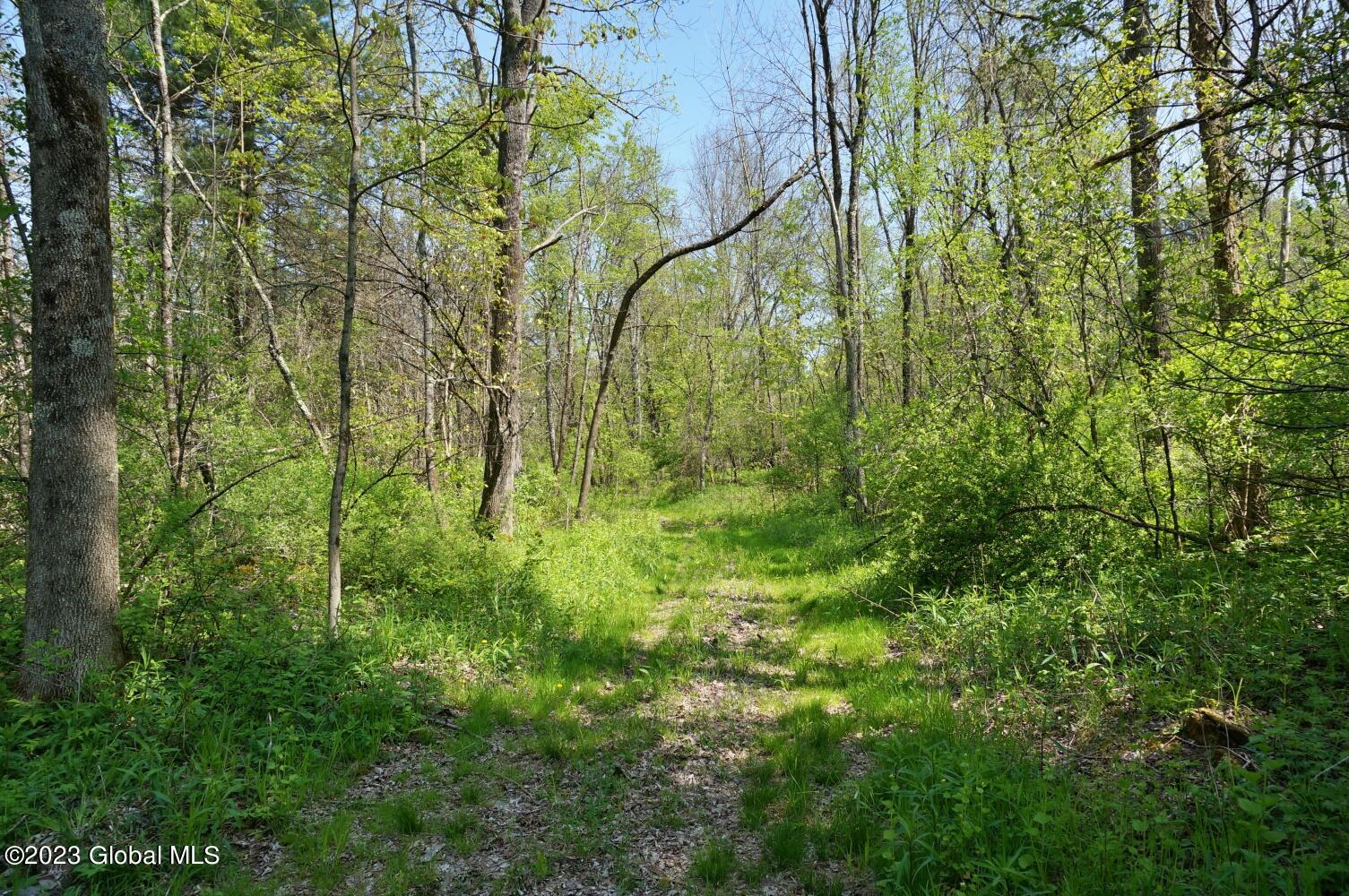 1032 Bogtown Road Salem NY 12865