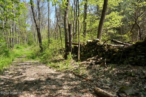 1032 Bogtown Road Salem NY 12865