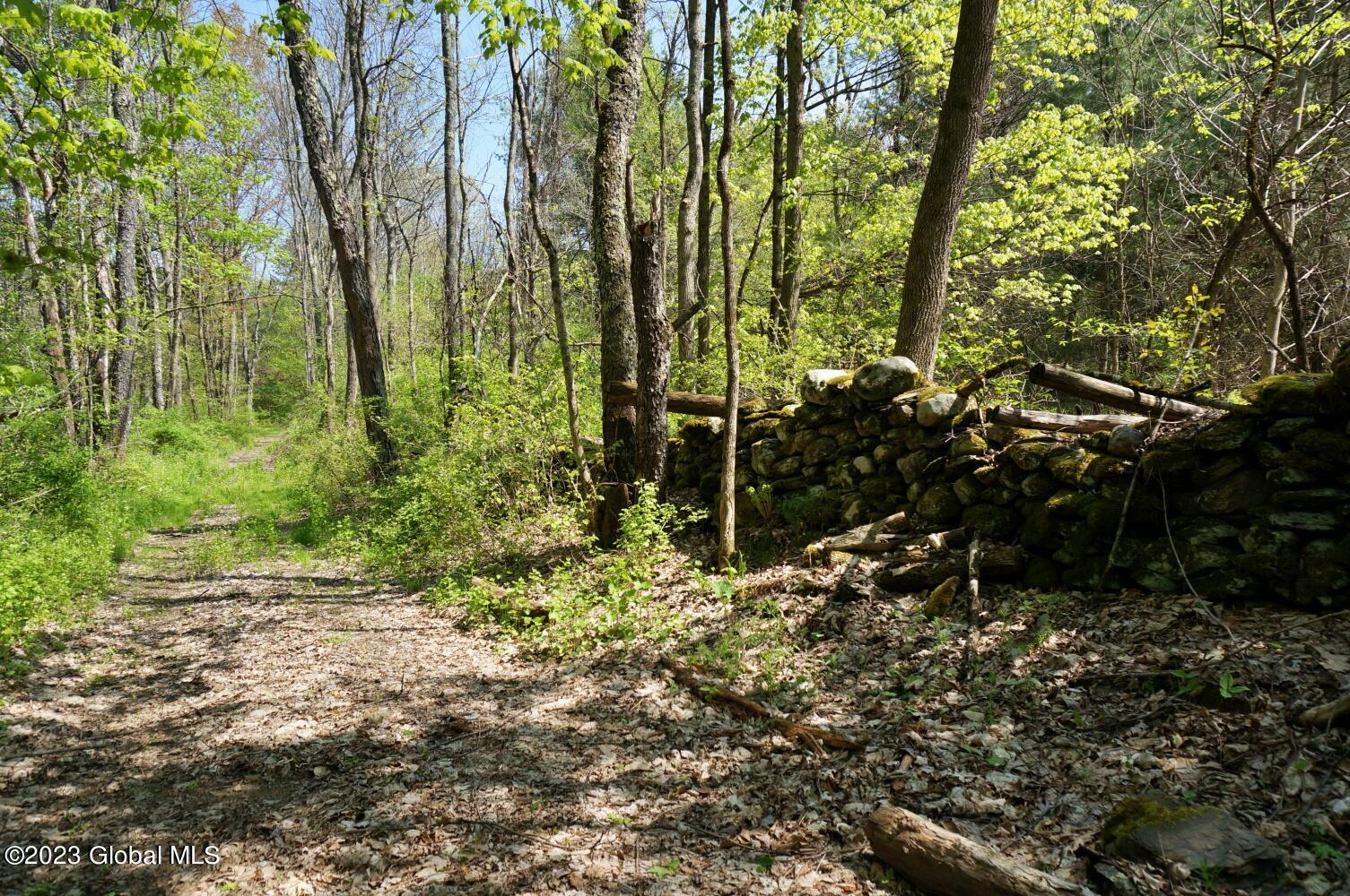 1032 Bogtown Road Salem NY 12865